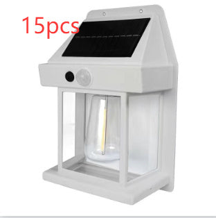 Solar Induction Garden Wall Lamp